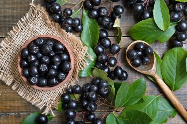 Aronia (aronya) meyvesinin faydaları nelerdir? Aronya nerede yetişir?
