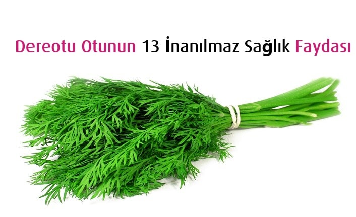 Dereotu Otunun 13 İnanılmaz Sağlık Faydası
