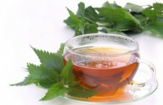 Isırgan Çayı'nın 11 İnanılmaz Faydası